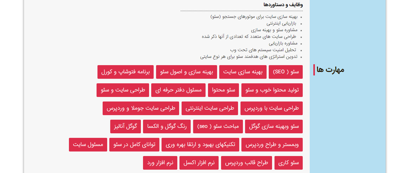 رزومه طراحی سایت و سئو